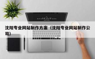 来宾沈阳专业网站制作方案（沈阳专业网站制作公司）
